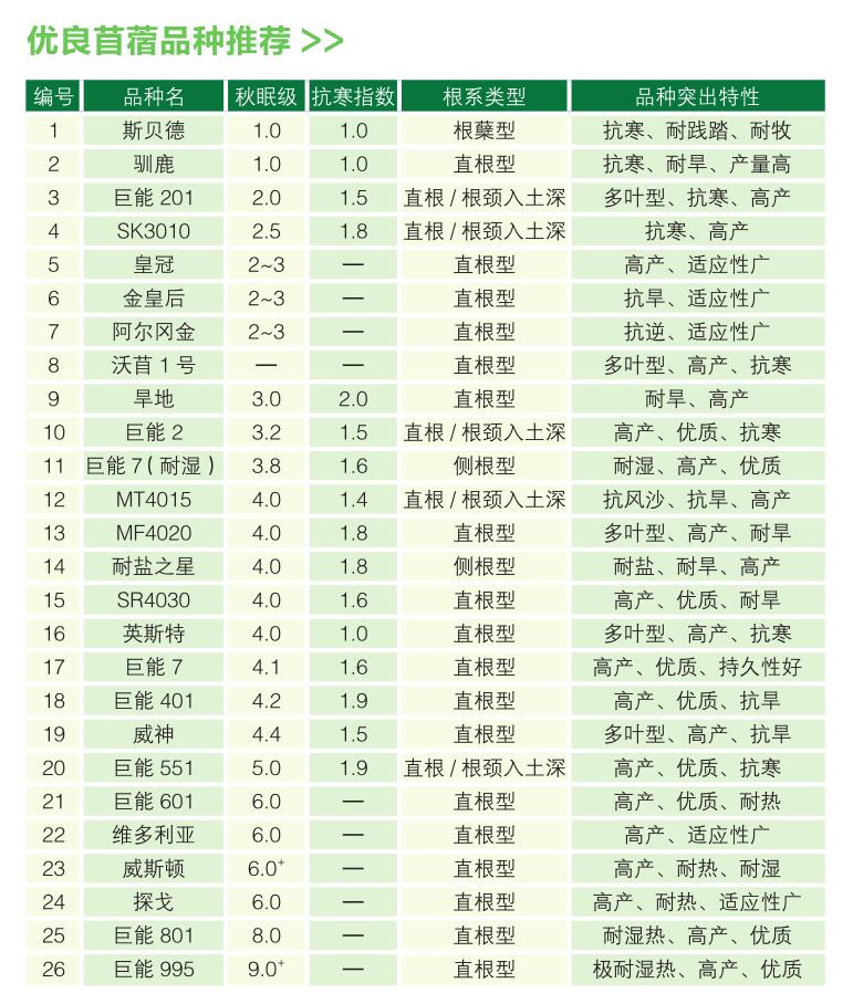 優(yōu)良苜蓿品種推薦.jpg
