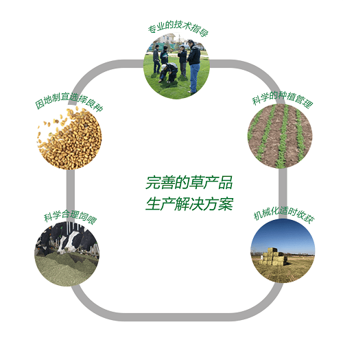 6業(yè)務(wù)-草種.png