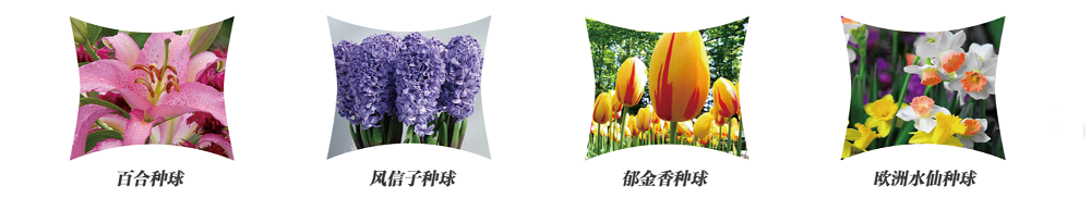 QQ截圖20190531155011.png