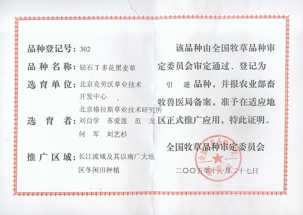 鉆石T.jpg