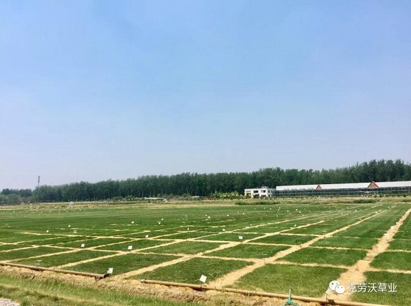 微信圖片_20190620134245.jpg
