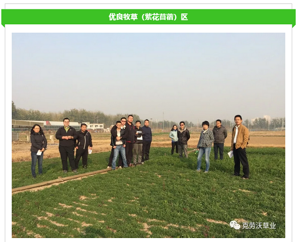 QQ截圖20190620135140.png