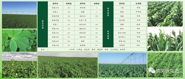 微信圖片_20190715155700.jpg