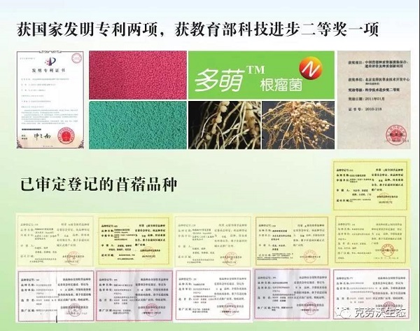 微信圖片_20190715155703.jpg