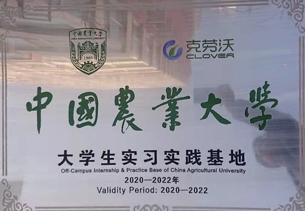 603750133700935187.jpg